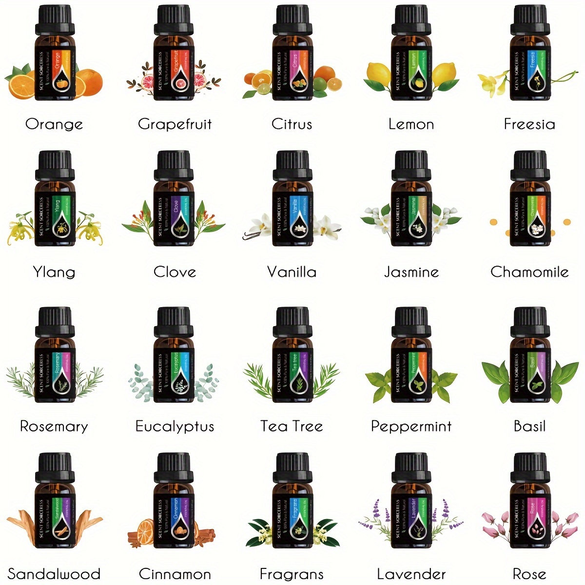 20pcs/set Essential Oil Set La - đánh giá và giá Lavender Oil